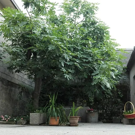 度假居 Ciasa Agricola Malfante Castions